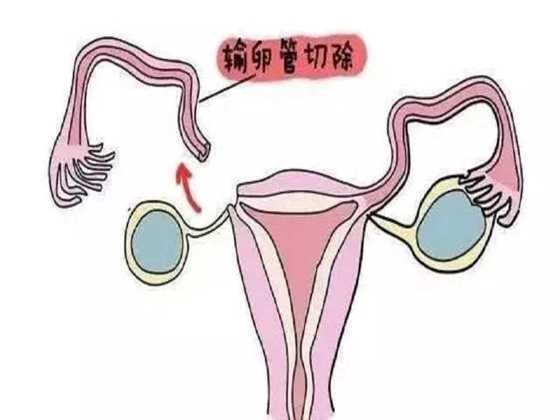 南京供卵第三代试管婴儿医院排名！附试管助孕机构一览？