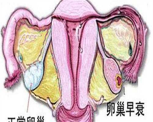 杭州代生宝宝男孩子,浙江生殖科排名前十的医院联系方式