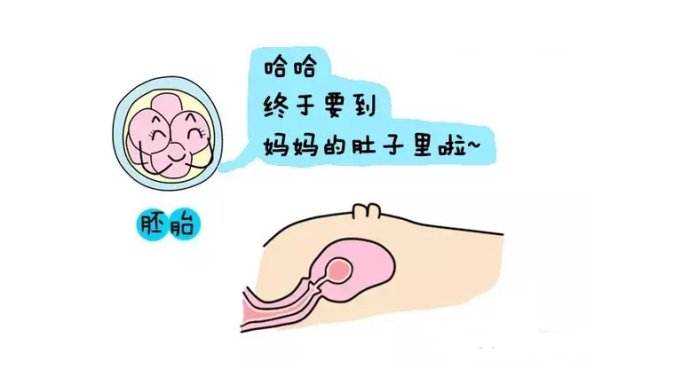南京代生儿子包性别，南京试管婴儿流程
