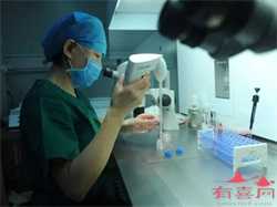 南京供卵高端机构，南京哪个医生做试管成功率高？