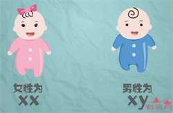 南京代生双胞胎微信，南京婚内新生儿入户办理指南
