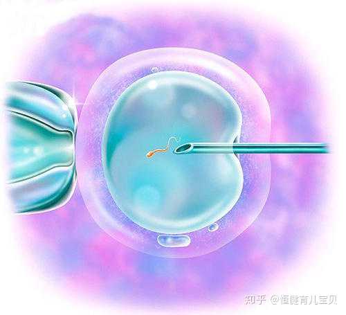 南京代生网哪家好，2022年南京军区南京总医院做试管婴儿成功率高吗？
