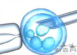 南京供卵代怀哪里有，2022年南京哪家医院可以供卵做三代试管婴儿？