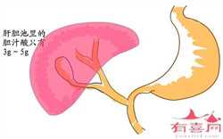 南京供卵助孕步骤，南京就医攻略-南京各大医院王牌医师篇（一）