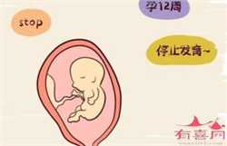 包成功南京代生套餐，南京试管包怀孕公司存在吗？真的会有包成功吗？
