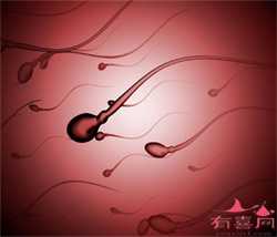 怎么找南京供卵代孕，江苏代孕龙凤胎案背景