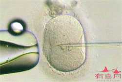 南京供卵代孕流程，江苏代孕龙凤胎案背景