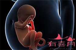 南京供卵代孕联系电话，江苏代孕龙凤胎案背景