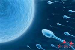 南京供卵试孕流程，南京哪里可以进行供卵试管？