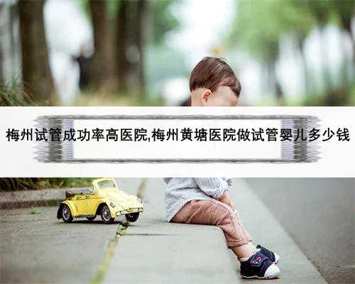 梅州试管成功率高医院,梅州黄塘医院做试管婴儿多少钱